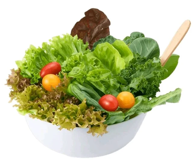 Hydroponic Salad Mix with Cucumber