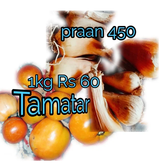 TamatR