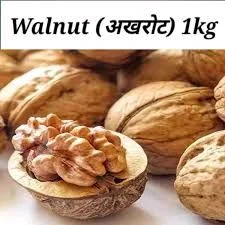 Flikart E Store Kashmiri walnut price - White, 1