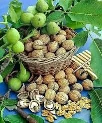 Flikart E Store Kashmiri walnut price - White, 1
