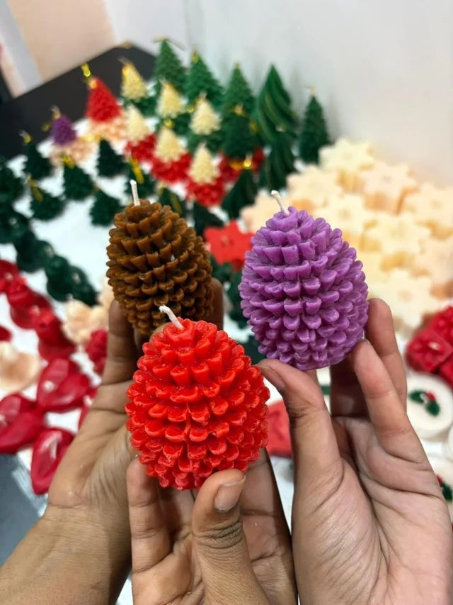 Pine Cone