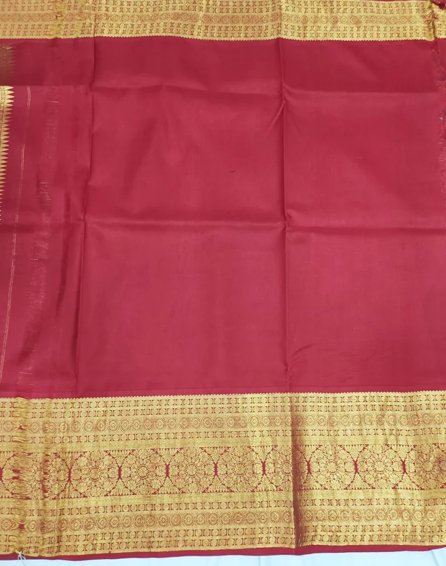 KALAMKARI HAND PAINTED KANCHI BORDER STORY SAREE - KHPKBSS004