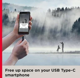 SanDisk Ultra Dual Drive Go 32gb USB 3.0 Type C Pendrive