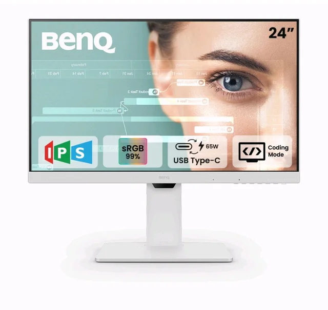 BenQ GW2486TC 24" IPS 100Hz Full HD Coding Monitor 