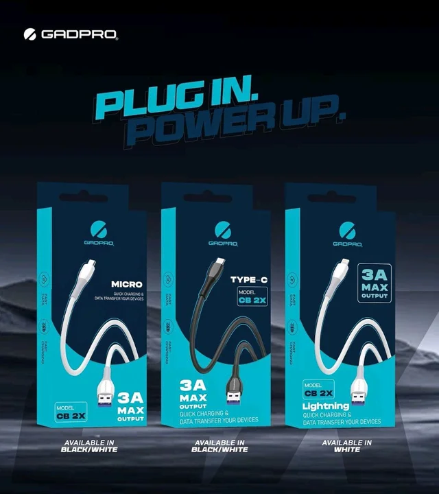 GADPRO Gadpro CB 2X 3A Type-C Cable