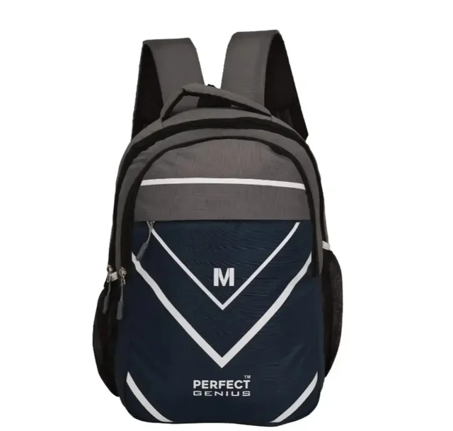 Back pack,college bag school bag, office bag for Unisex. 8176747