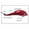 Dolphin Massager Infrared Massager Dolphin Electric Vibrating Cervical | Back Leg Full-body Single Head Massage Hammer For Men and Women