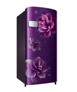 SAMSUNG Samsung 183 L Direct Cool Single Door 1 Star Refrigerator (Camellia Plum, RR19H2YC1CR/NL)