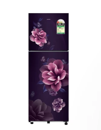 SAMSUNG 236 L Double Door Refrigerator with All Around Cooling, 1★ RT40H28W1CPNL
