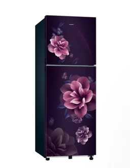SAMSUNG 236 L Double Door Refrigerator with All Around Cooling, 1★ RT40H28W1CPNL