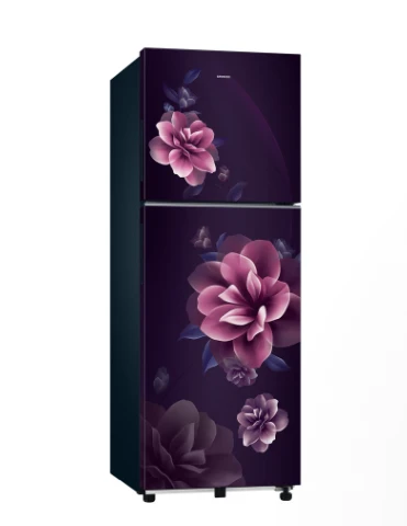 SAMSUNG 236 L Double Door Refrigerator with All Around Cooling, 1★ RT40H28W1CPNL