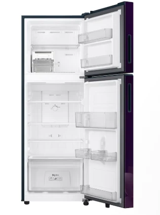 SAMSUNG 236 L Double Door Refrigerator with All Around Cooling, 1★ RT40H28W1CPNL