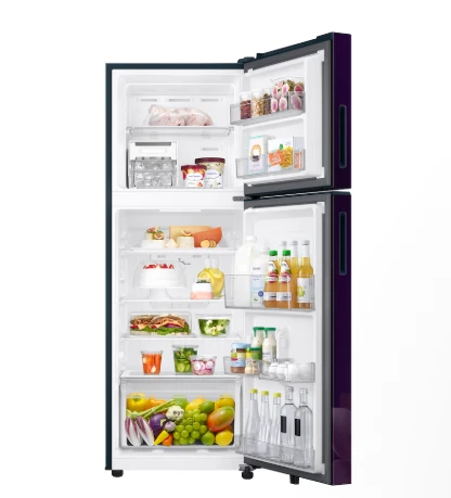 SAMSUNG 236 L Double Door Refrigerator with All Around Cooling, 1★ RT40H28W1CPNL