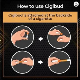 Cigibud filters |Nanoclean anti smoking filters|stoptar smoking filters|filters to quit smoking|filters for smoking|smoking filters|safety filters for smoking|regular smoking filters|tar reduction filters|smoking filters for daily use|multi-filtering helps to reduce tar and smoke and also helps to quit smoking - White Color (Pack of 30 Pieces) - 1 x 1 x 4.1 cm, White