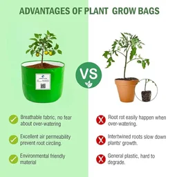 FAIRBIZPS 12x12 Grow Bags for Terrace, Balcony & Outdoor Gardening – 260 GSM HDPE Plant Pots for Vegetables, Herbs, Flowers, Fruits, Indoor and Outdoor Plants - Green