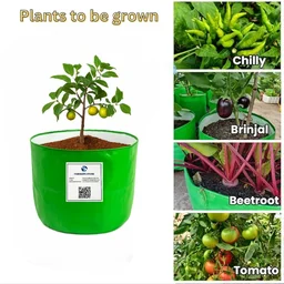 FAIRBIZPS 12x12 Grow Bags for Terrace, Balcony & Outdoor Gardening – 260 GSM HDPE Plant Pots for Vegetables, Herbs, Flowers, Fruits, Indoor and Outdoor Plants - Green