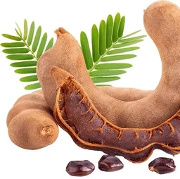 புளி / Tamarind