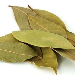 பிரிஞ்சி இலை / Bay Leaf