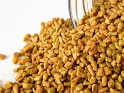 வெந்தயம் / Vendhayam