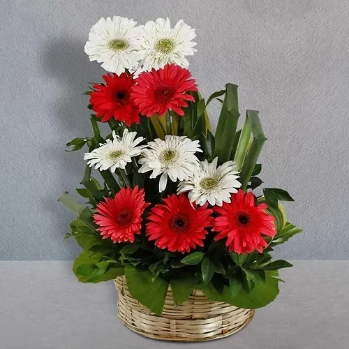 Gebra Basket Bouquet