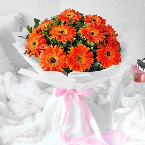 Orange Gebra Bunch