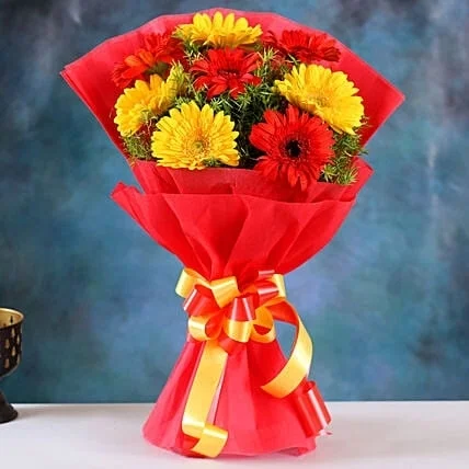 Red Yellow Gebra Bunch