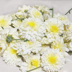 White Bijli Flowers