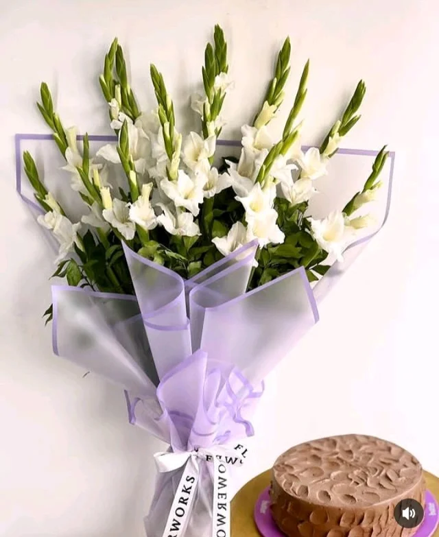 White Gladiolus