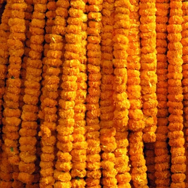 Orange Marigold String  Bunch