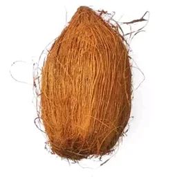 Dry Nariyal