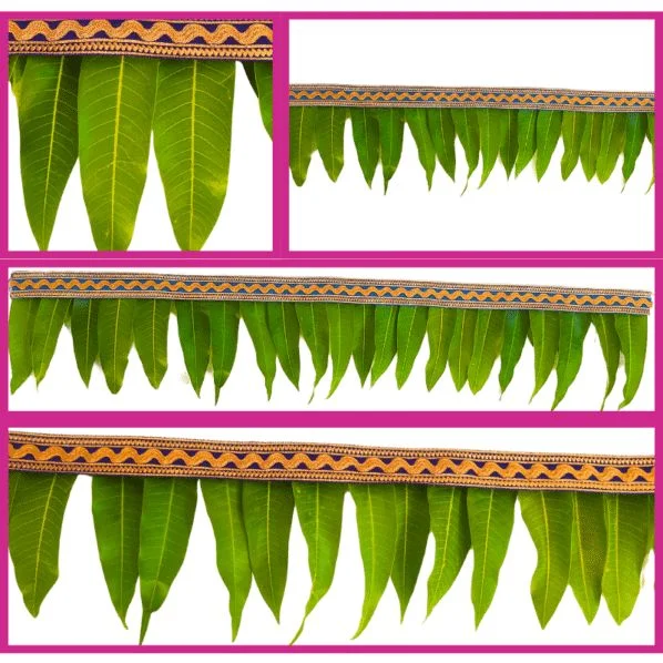 Ashoka Leafs Toran