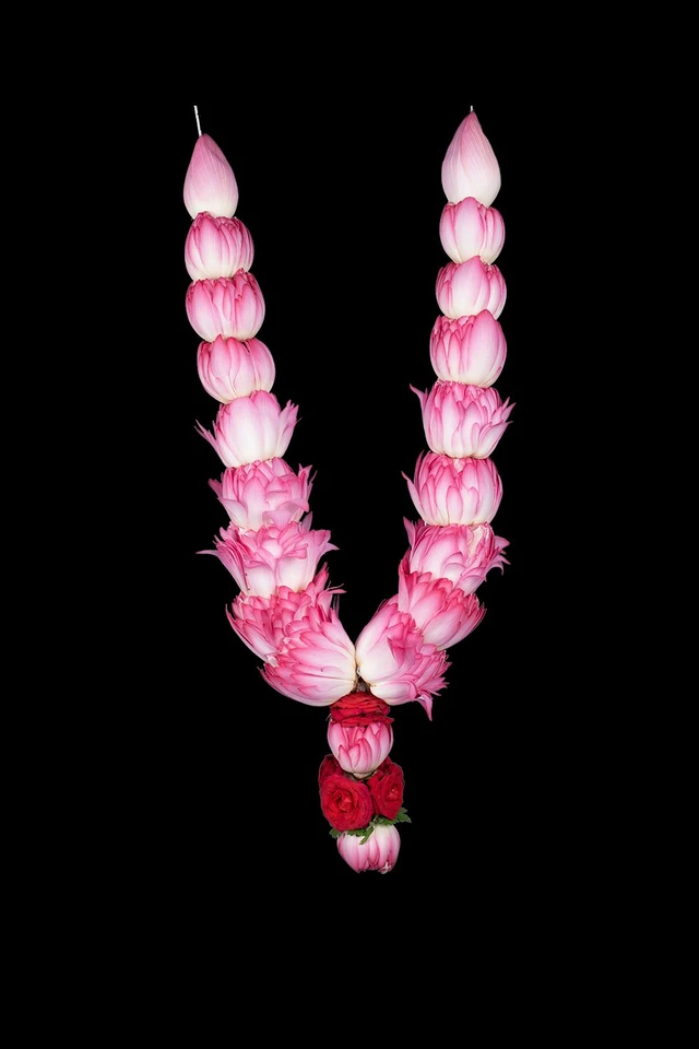Lotus Garland 