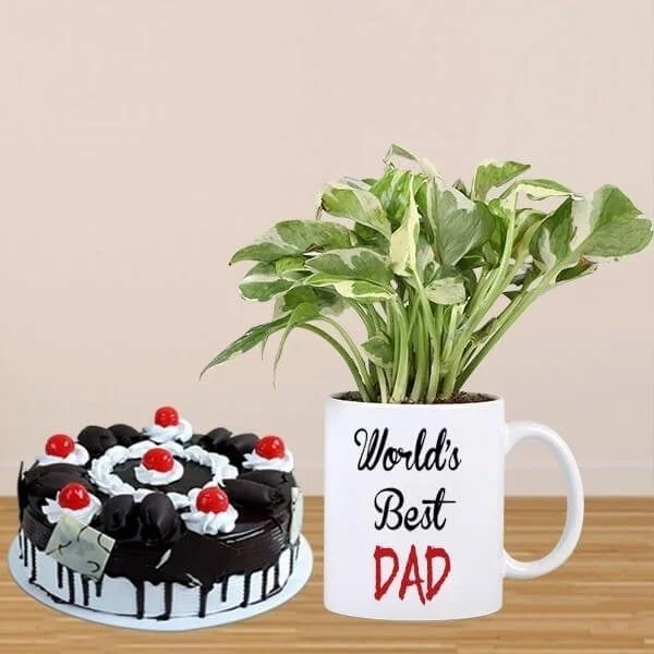 money plant with cake for dad