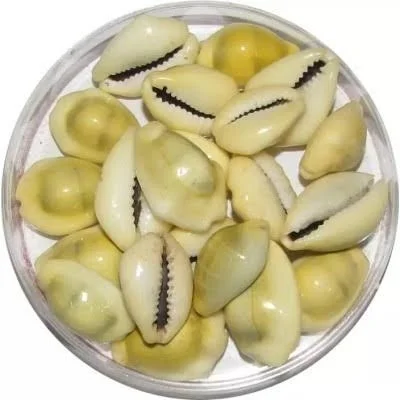 Puja Kodi - Pc