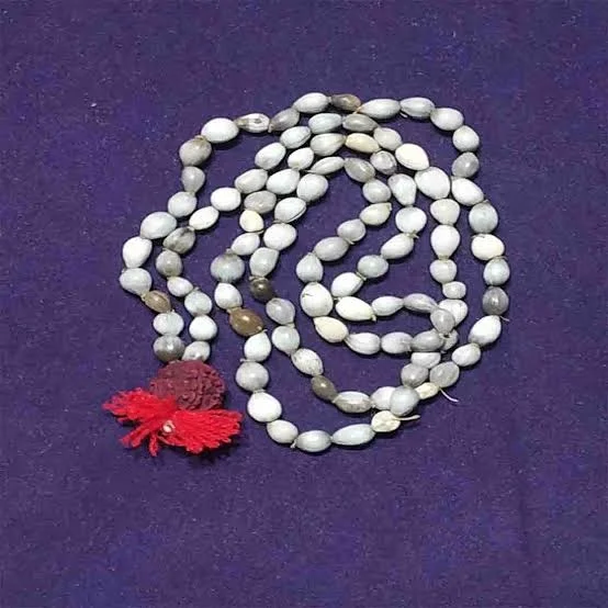 Bejanti Mala