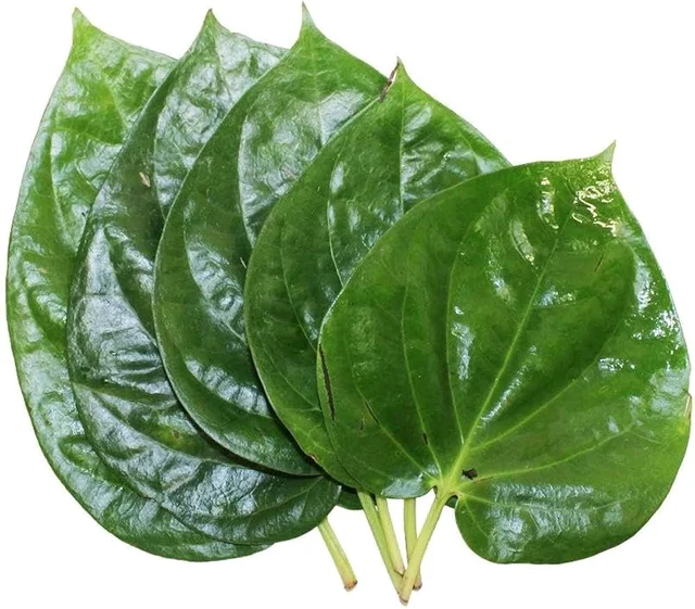 Paan Patta/पान पत्ता - 20pc