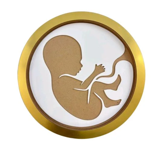 MDF Baby in Womb Frame - 10 inches