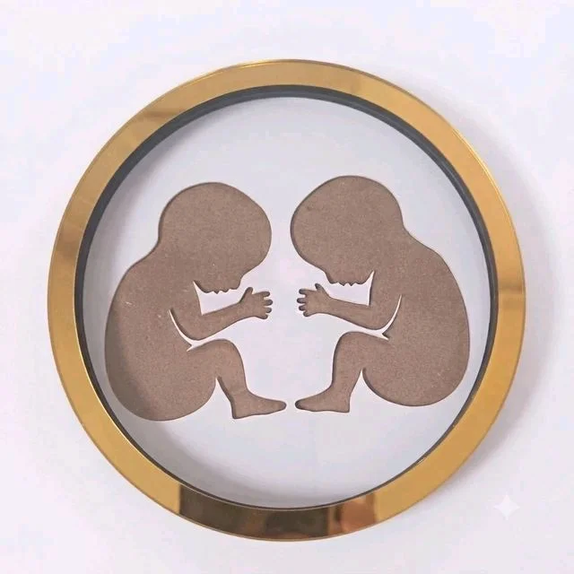 Mdf Twin Baby In Womb Frame - 12 inches