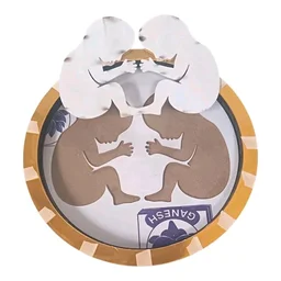 Mdf Twin Baby In Womb Frame - 16 inches