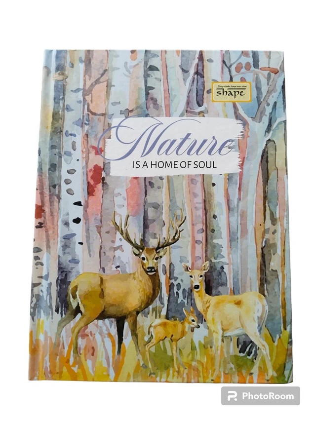 Shape Diary 24*18 Cm