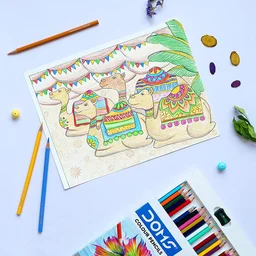 Doms Colour Pencils 12 Shades Half Size