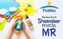 Pidilite Fevicol Mr White Adhesive 200 gram