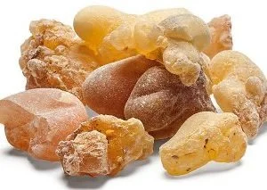 Frankincense Essential Oil - 15 ml