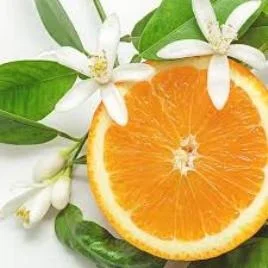 Neroli Essential Oil - 15 ml