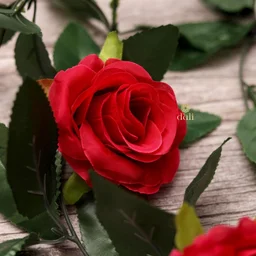 Shopnav Artificial Rose Vine Flowers With Green Leaves For Home Party Garden Wall Decoration (Rani Pink, Material:Silk, Polyester) - 0.35, Pink