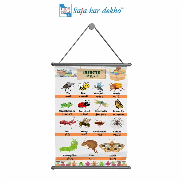 saja kar dekho INSECTS (જંતુઓ) Wall Handing Poster For Kids | INSECTS With Picture High Quality Weather Resistant HD Wall Poster | 30 x 48 inch | - 30 x 48 inch