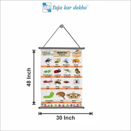 saja kar dekho INSECTS (જંતુઓ) Wall Handing Poster For Kids | INSECTS With Picture High Quality Weather Resistant HD Wall Poster | 30 x 48 inch | - 30 x 48 inch