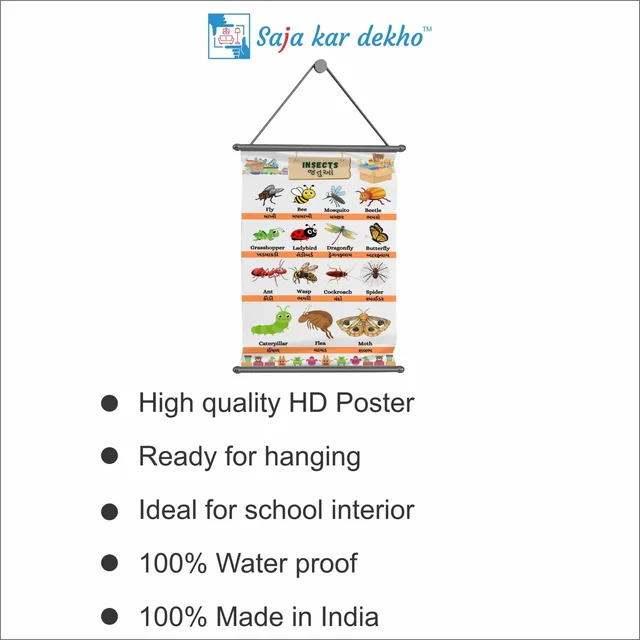 saja kar dekho INSECTS (જંતુઓ) Wall Handing Poster For Kids | INSECTS With Picture High Quality Weather Resistant HD Wall Poster | 30 x 48 inch | - 30 x 48 inch