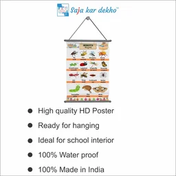 saja kar dekho INSECTS (જંતુઓ) Wall Handing Poster For Kids | INSECTS With Picture High Quality Weather Resistant HD Wall Poster | 30 x 48 inch | - 30 x 48 inch