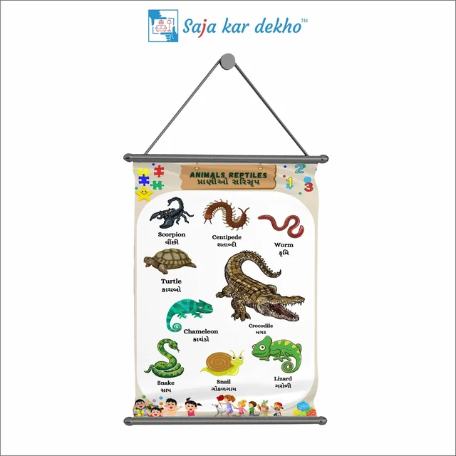 saja kar dekho ANIMALS REPTILES (પ્રાણીઓ સરીસુપ) Wall Handing Poster For Kids | ANIMALS REPTILES With Picture High Quality Weather Resistant HD Wall Poster | 30 x 48 inch | - 30 x 48 inch